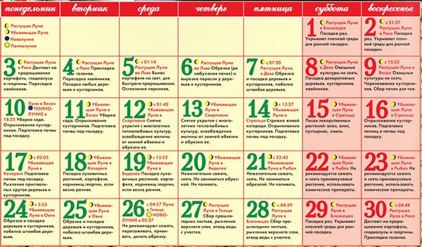 Кинопоиск лучшие фильмы 2018 года список с датами Кинопоиск лучшие фильмы 2018 года список с датами