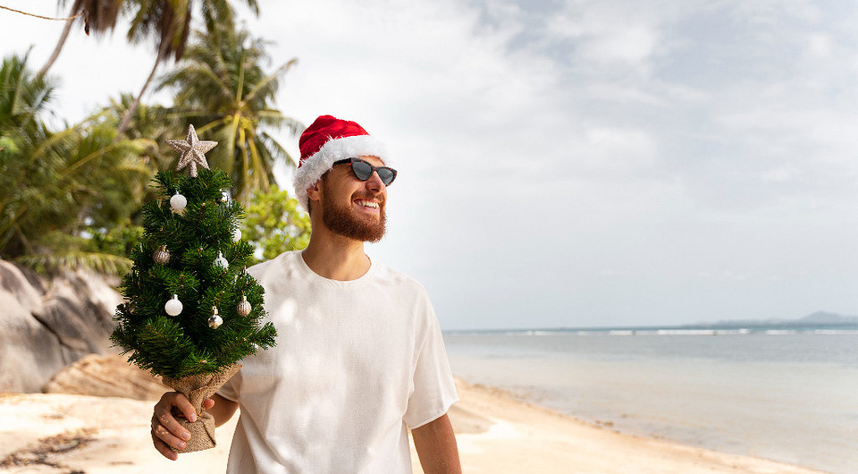 Новогодние путешествия: выбор стран для туристов0