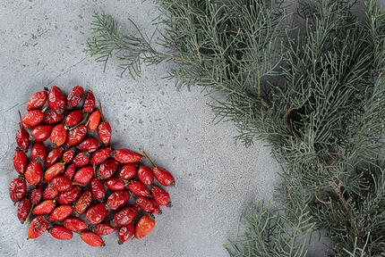 Как создать уютную кормушку для птиц и выбрать для них лучшие лакомства8